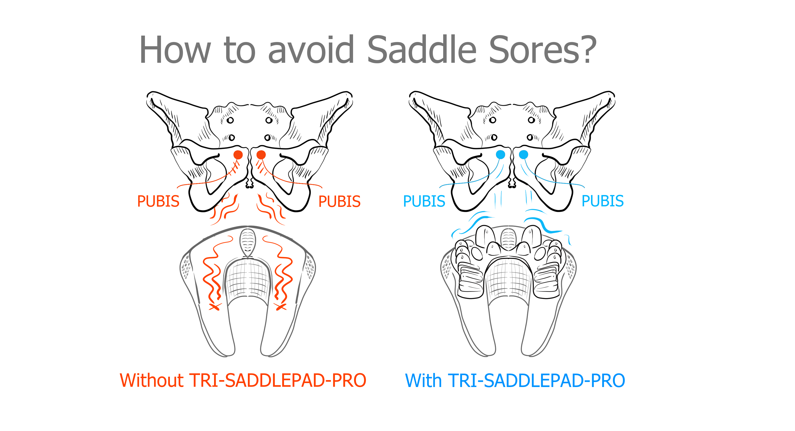 tri saddle
